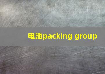 电池packing group